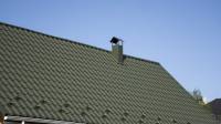 Metal Roofing