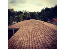 shingle roof